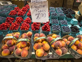 Postmortem Analysis of the Economic Theory That High Prices Are the Best Cure for Other High Prices
